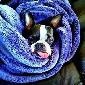 Meet your Posher, Ethan